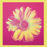 Daisy c.1982 (fuchsia & yellow)