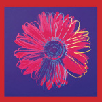 Daisy c.1982 (blue & red)