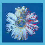 Daisy c.1982 (blue on blue)