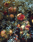 Pomegranates Majorca