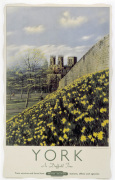 York - Daffodil Time
