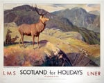 Scotland for Holidays - Deer Stalking