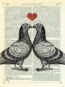 Pigeons in Love