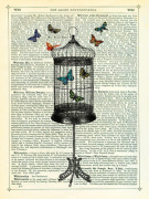 Bird Cage and Butterflies