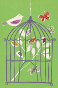 Bird on Cage