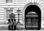 Guard change Buckingham Palace