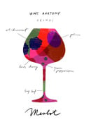 Wine Anatomy: Merlot