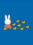 Miffy and Ducks
