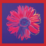 Daisy c.1982 (blue & red)