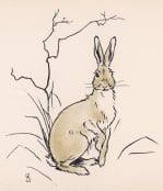 Alert Hare 1902