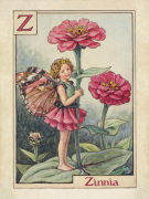 Zinnia Fairy