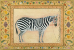 A zebra 1621