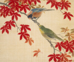 Two birds perching on the branches of a Red Maple