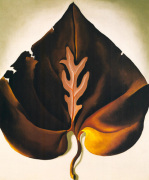 Dark and Lavender Leaf 1931