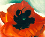 Red Poppy 1927