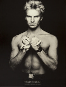 Sting (Gordon Sumner) 1984