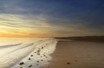 Titchwell Beach - Norfolk