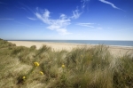Norfolk Dunes
