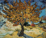 Mulberry Tree 1889