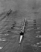 Cambridge win Varsity Boat Race