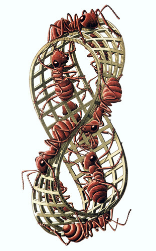 Escher mobius strip ii