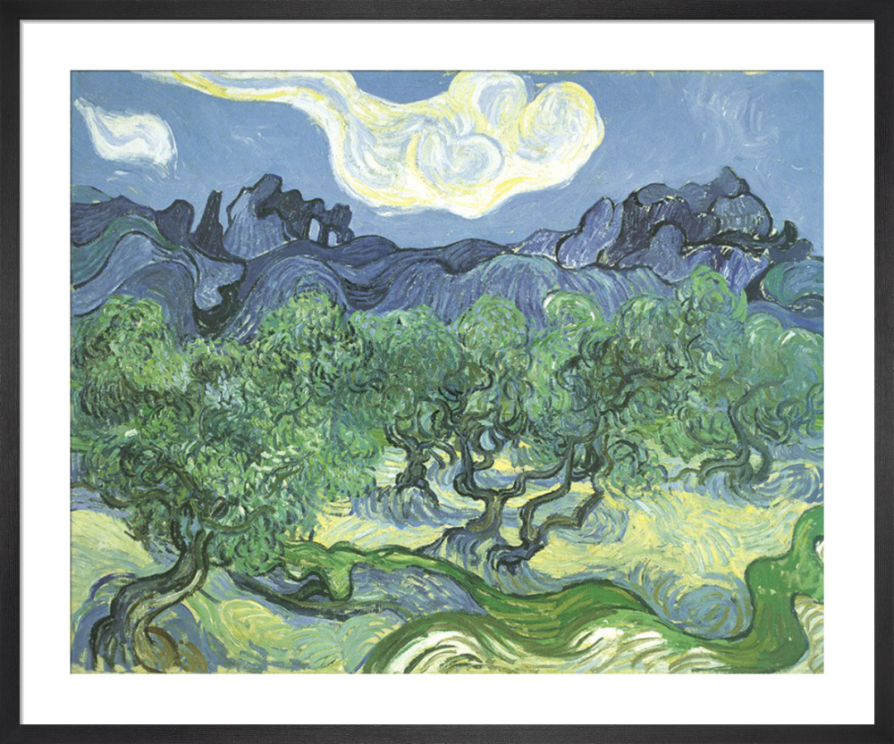 The Olive Trees Art Print By Vincent Van Gogh King Mcgaw