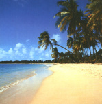 Tropical Beaches Posters UK - www.Posters.co.uk domain for sale