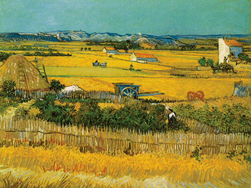 Field Art Print by Vincent Van Gogh | King & McGaw