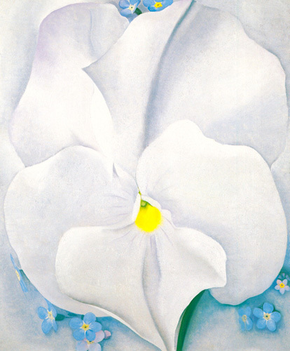 White Pansy, 1927 Art Print by Georgia O'Keeffe | King & McGaw