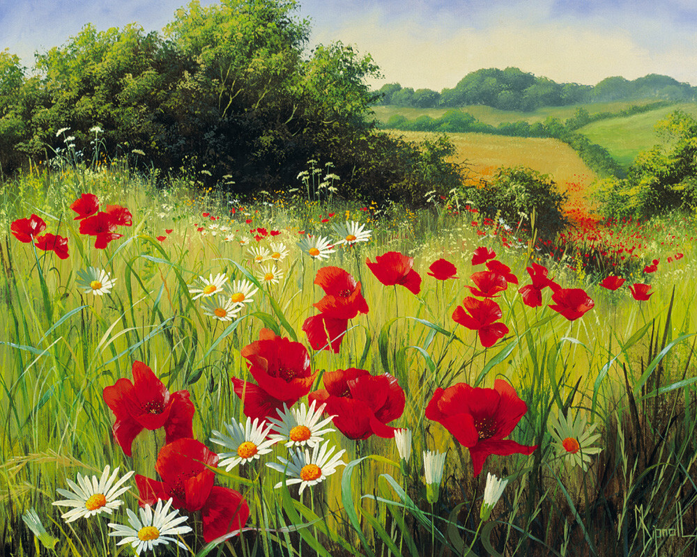 Sunlit Meadow Art Print by Mary Dipnall | King & McGaw