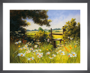 Sunlit Meadow Art Print by Mary Dipnall | King & McGaw