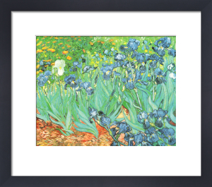 Peach blossom in the Crau Art Print by Vincent Van Gogh at King & McGaw