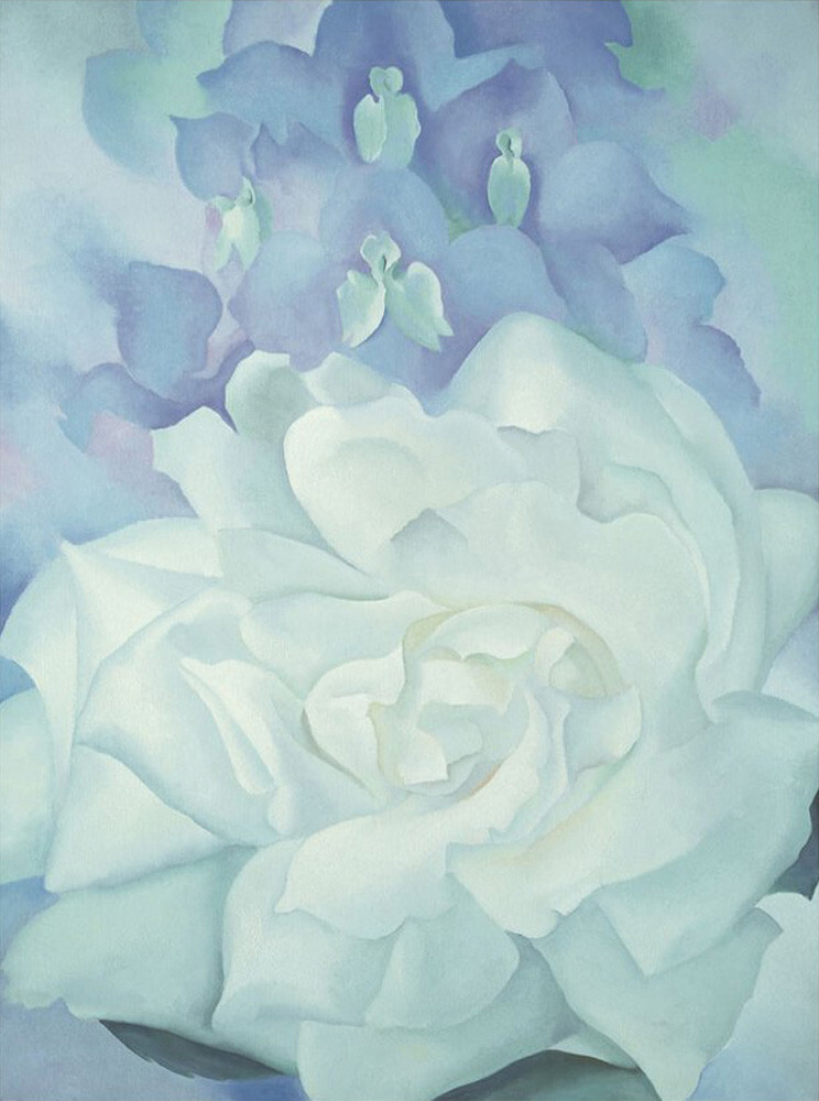 White Rose with Larkspur No. 2, 1927 Art Print by Georgia O'Keeffe ...