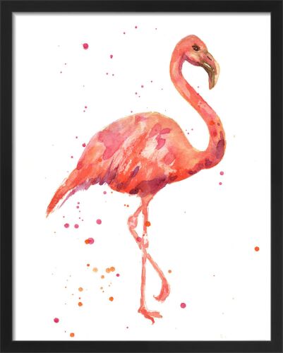 Flamingo by Alison Fennell