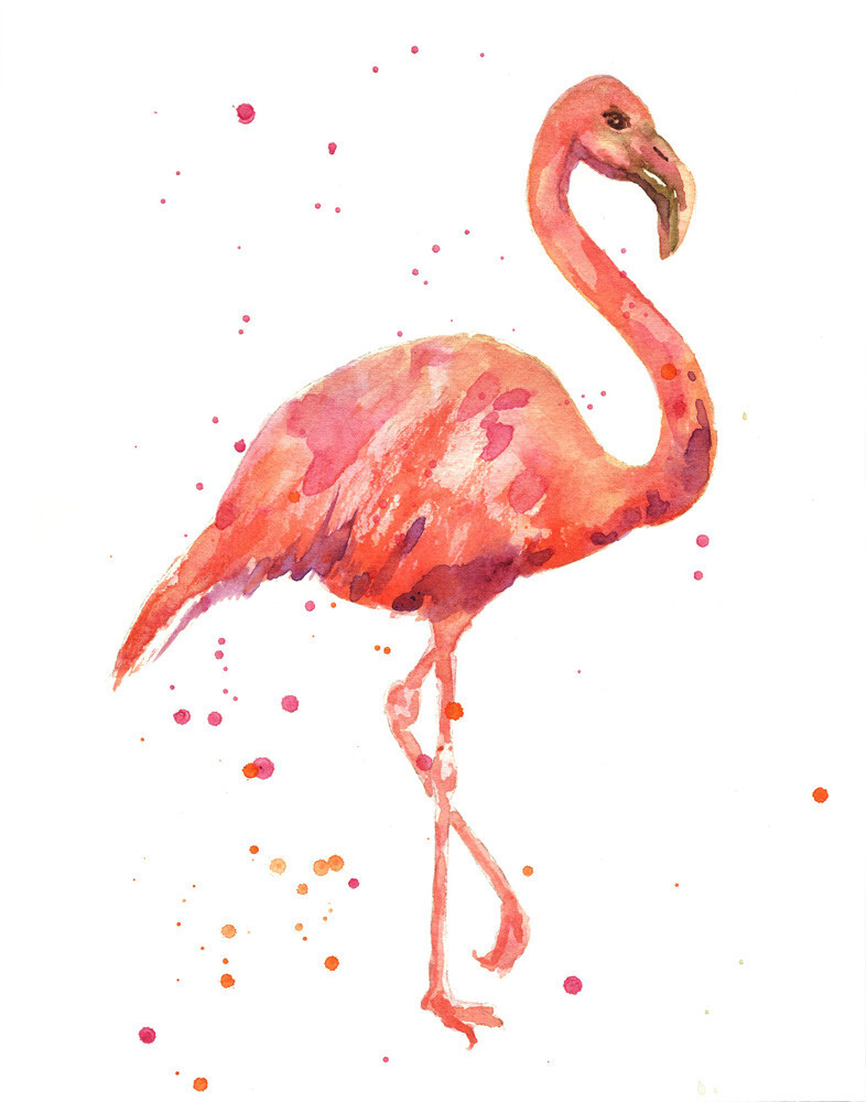 Flamingo Art Print by Alison Fennell | King & McGaw