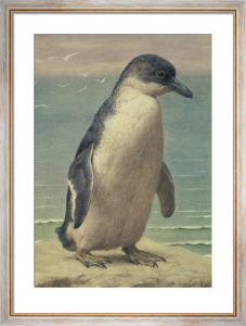 Study of a Penguin by Henry Stacy-Marks