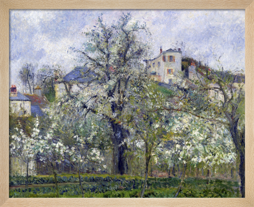 si-301513.jpg_ihcm-32.05_iwcm-