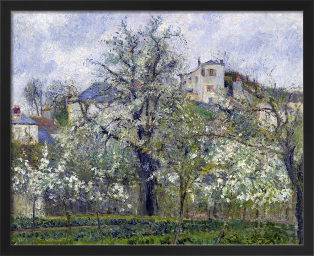 si-301513.jpg_ihcm-32.05_iwcm-