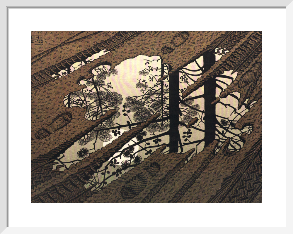 Puddle Art Print By M C Escher King Mcgaw