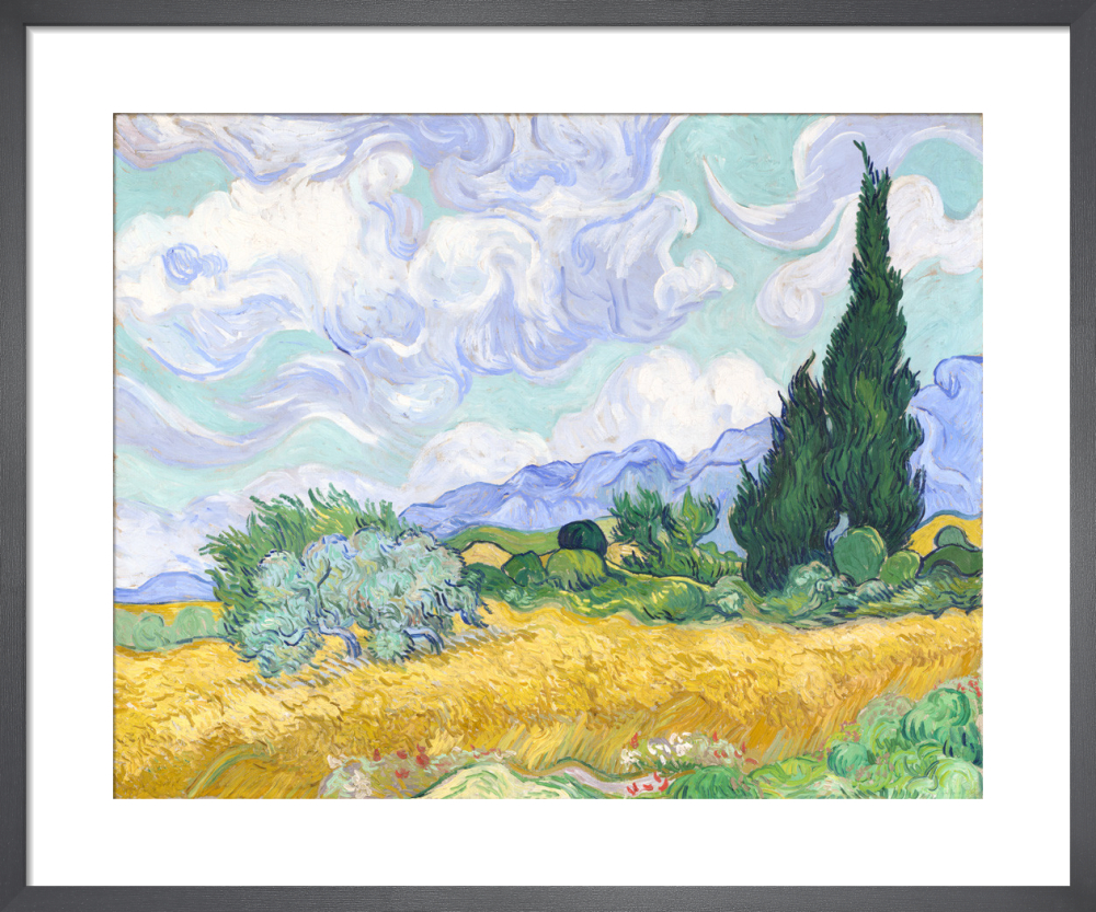 A Wheatfield With Cypresses Art Print By Vincent Van Gogh King Mcgaw