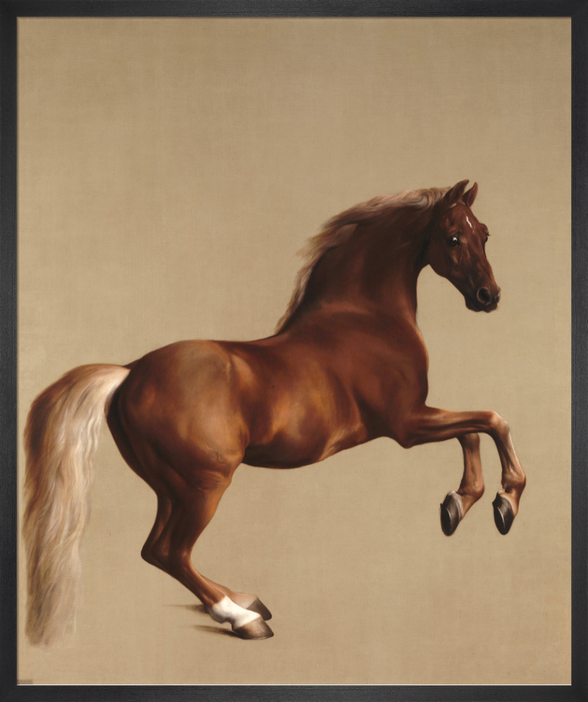 George Stubbs,Whistlejacket,Horse Portrait,Equestrian Wall Art,large wall art,framed outlet wall art,canvas wall art,large canvas,M5801