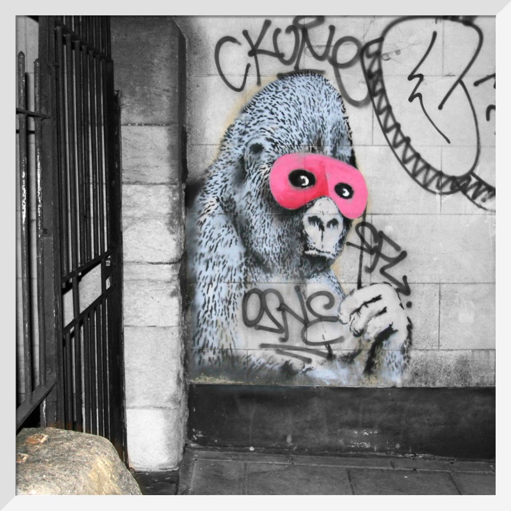 Banksy Canvas Print - Gorilla - The Banksy Shop