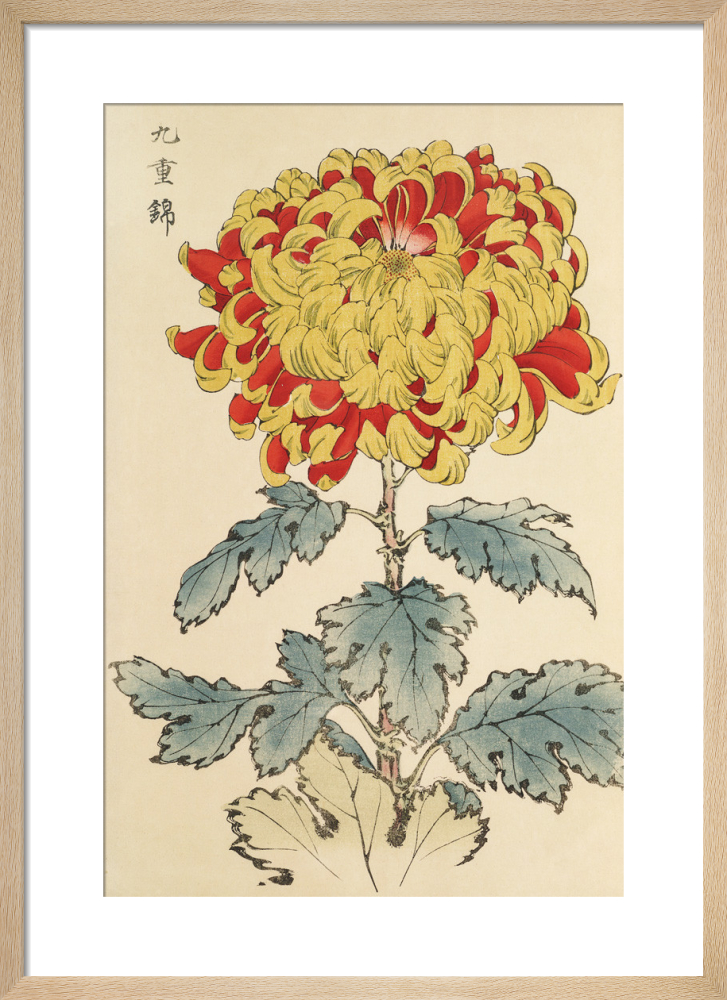 Chrysanthemum Art Print by Keikwa Hasegawa King & McGaw