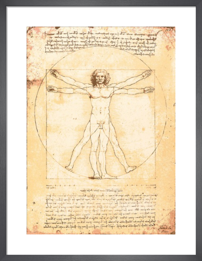 Vitruvian Man Art Print by Leonardo da Vinci | King & McGaw