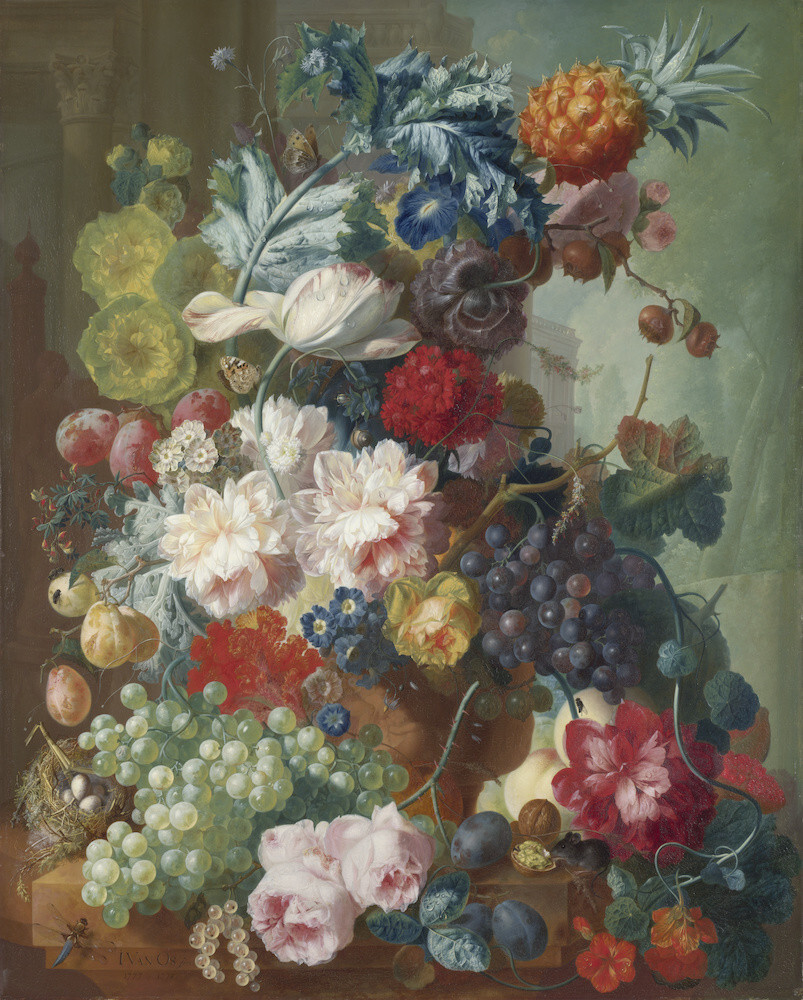 Fruit and Flowers in a Terracotta Vase Art Print by Jan Van Os | King ...