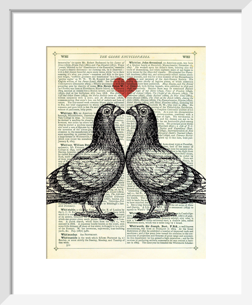 Love　Marion　Art　by　Print　McConaghie　King　McGaw　Pigeons　in