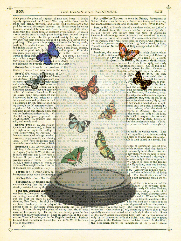 Butterfly Dome Art Print by Marion McConaghie | King & McGaw