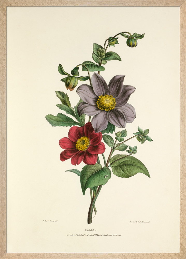 si-425565.jpg_ihcm-100.00_iwcm