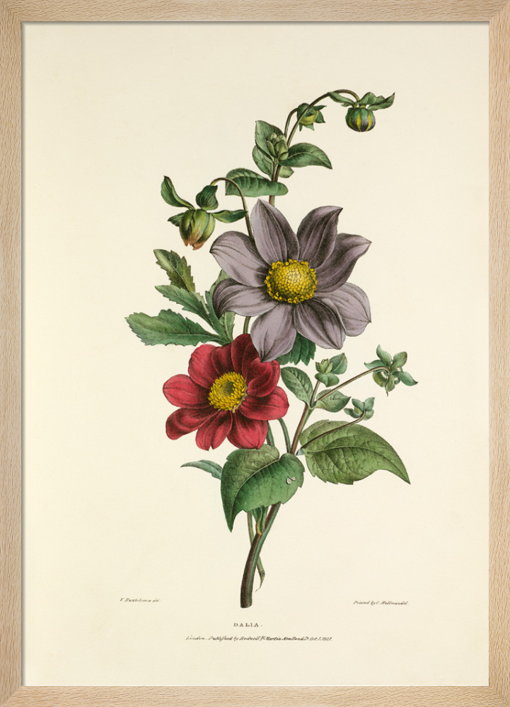 価格は安く si-425565.jpg_ihcm-60.00_iwcm- 絵画