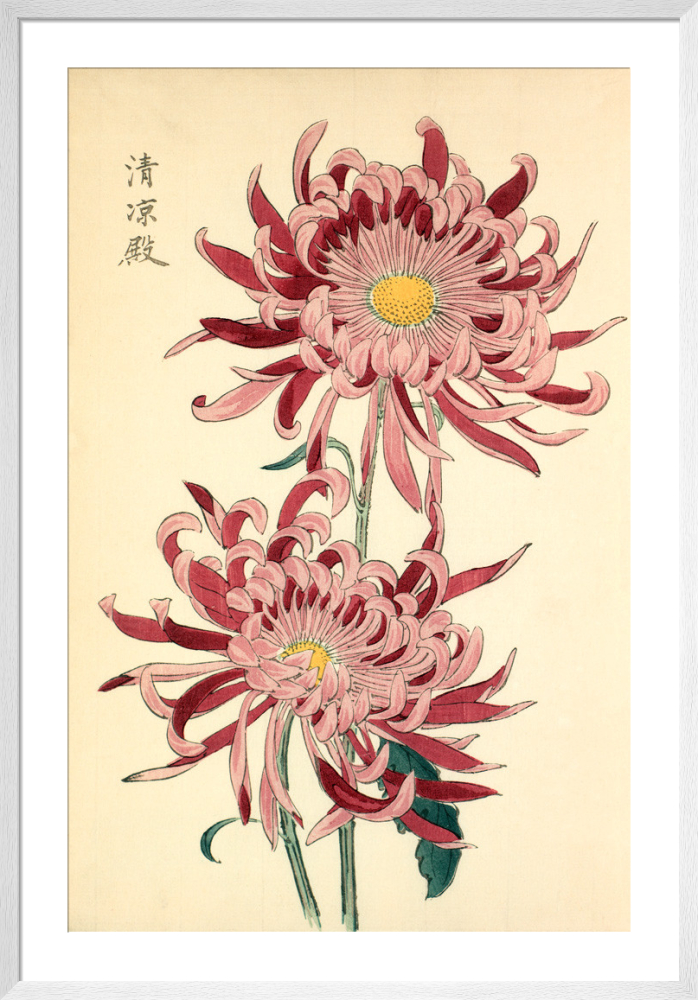 si-425847.jpg_ihcm-90.00_iwcm-